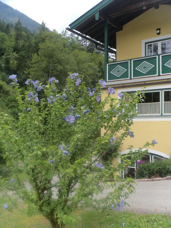 Ferienwohnungen Martinsklause Ramsau bei Berchtesgaden Dış mekan fotoğraf